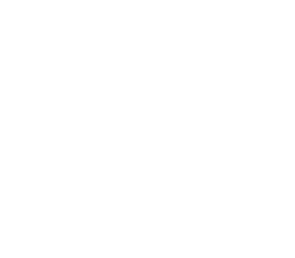 Metro Garage Services logo